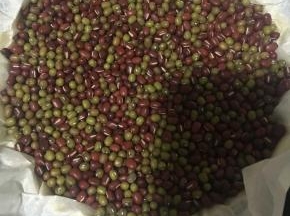 把油纸热在模具内，铺满红（绿）豆。防止底部凸起。