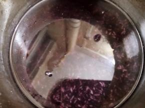 清水泡半个小时