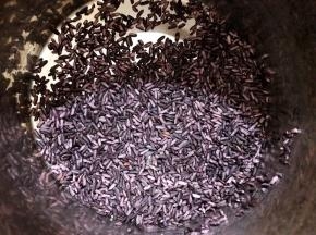 墨江紫米淘洗干净