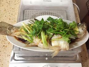 把姜片、香葱和香菜依次铺在鱼上面，然后把蒸鱼豉油淋在鱼身上。然后用小锅烧一点热油，把热油淋上去。