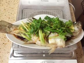 把姜片、香葱和香菜依次铺在鱼上面，然后把蒸鱼豉油淋在鱼身上。然后用小锅烧一点热油，把热油淋上去。