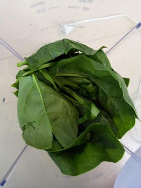 菠菜洗净淋干水分，只要叶子部分，用料理机打碎
