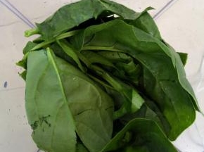 菠菜洗净淋干水分，只要叶子部分，用料理机打碎