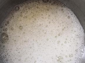 蛋白打发至鱼眼状，加入三分之一的细砂糖