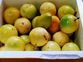 百香果，朋友送了一箱，和宝贝把果肉全部挖出来啦！