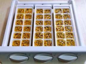 太多一次吃不完，没关系，可以把果肉放入冰格中，冷冻成形后，取出果块，放入食品袋中密封，继续冷冻，吃的时候取出来几块，特别方便。