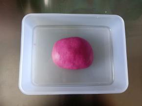 放入容器中进行第一次发酵