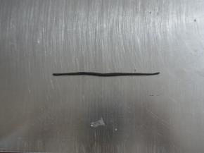 然后搓成细条，做小熊的眼睛、眉毛、鼻子和嘴巴。