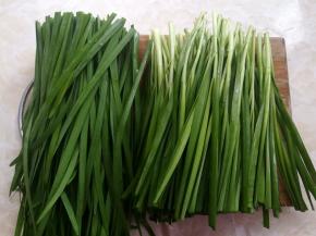 韭菜切掉尾部过长的部分，只用带根部的韭菜