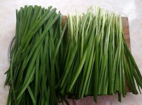韭菜切掉尾部过长的部分，只用带根部的韭菜