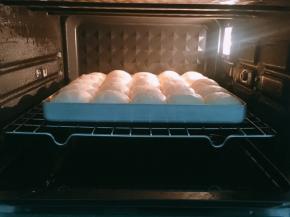 烤箱底部加入一盘温水，开启发酵模式，温度30度，时间30分钟，进行二次发酵至2倍大小