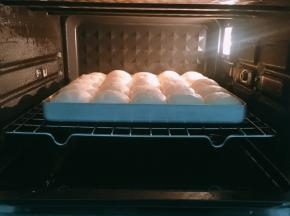 烤箱底部加入一盘温水，开启发酵模式，温度30度，时间30分钟，进行二次发酵至2倍大小