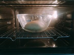 烤箱发酵模式提前预热，温度上下30度，底部烤盘加入温水，放入面团，时间60分钟，进行基础发酵至2倍大