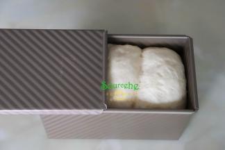 把土司盒放入烤箱，并放一盘温度38度左右的温水，时间设置40分钟2，按发酵键，进行发酵。发酵到土司盒9分满时，取出土司盒盖上盖子，并把烤箱的温水取出。