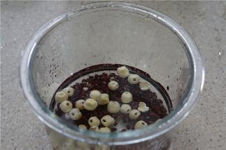 这类晒干的食材，咱们最好是先提前泡洗一下，这样子才更卫生，这玻璃内胆真是好厚实。