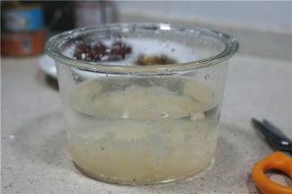 将银耳剪小泡开，我就直接用了辅食煲所带的玻璃内胆来泡发银耳，这样子看着好直观好清楚。