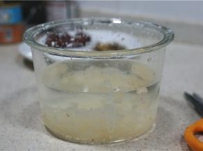 将银耳剪小泡开，我就直接用了辅食煲所带的玻璃内胆来泡发银耳，这样子看着好直观好清楚。