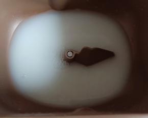 面包机中放入乳清和水。