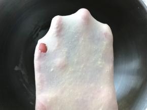 加冰牛奶启动揉面程序将材料揉成有有筋度的面团，面团切下一小块可以撑出膜，破洞处呈锯齿状