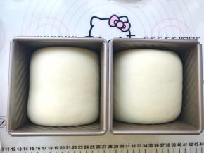 面团发酵至8分满取出，预热烤箱170度