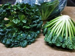 单叶互生，卵圆形或长椭圆形，叶长2～6厘米，宽1～2.5厘米，叶缘具粗锯齿或二回羽状深裂，叶表面绿色，背面淡绿色，先端短尖，叶脉上具稀疏的细毛，叶基稍收缩成叶柄，叶柄扁圆形，具窄翼，绿色或淡紫色。