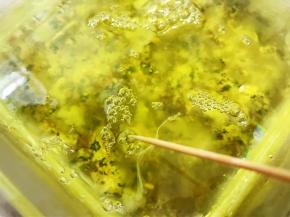 有大气泡用牙签刺破