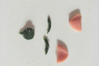 黄瓜皮剪出小动物的眼睛、鼻子。火腿片切成两只耳朵。
