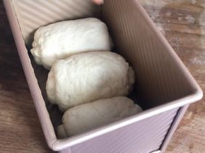 放入吐司模具内，密封发酵至满