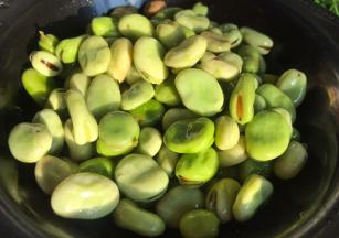 蚕豆去掉外壳，洗净沥水备用