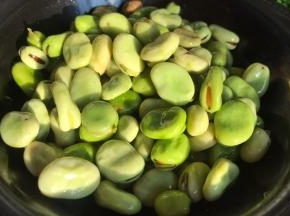 蚕豆去掉外壳，洗净沥水备用