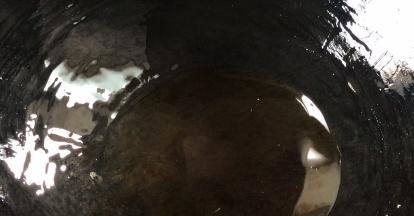 热锅放入食用油