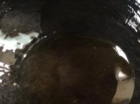 热锅放入食用油