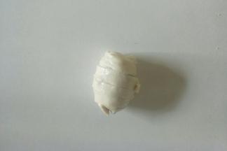 卷好，把其余依次做好。