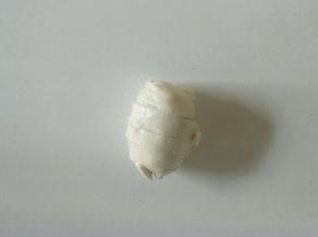 卷好，把其余依次做好。