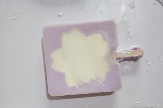 盖上模具盖放入冰箱冷冻6小时以上。