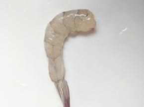 虾洗净去虾线、虾头剥去虾壳只留虾尾的部分。