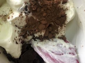 巧克力切碎，留一点儿装饰表面～小碗小刮刀，120克基础冰淇淋，加入巧克力碎，5克可可粉，搅拌均匀，分装入准备好的冰淇淋盒～这里可以根据自己的喜好增减