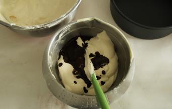 分出一部分（1/3感觉就够了，或者比一半略少一点）蛋糕糊，倒入之前搅拌好的可可糊，也是切拌翻拌的手法，搅匀成可可蛋糕糊。