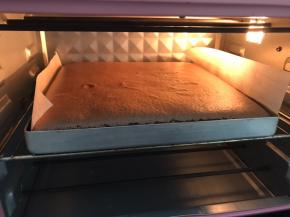 出炉后，震出热气把蛋糕体倒扣在铺有油纸的烤架上，趁热撕下油布再盖上保湿