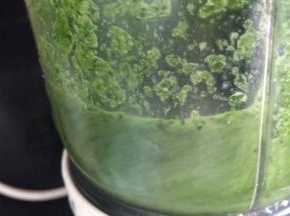 打成泥浆，多打一下，因黄瓜皮比较硬