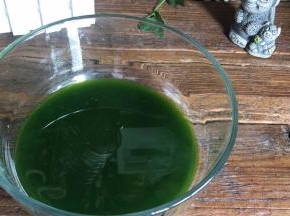 静置一会儿后颜色会很绿很美