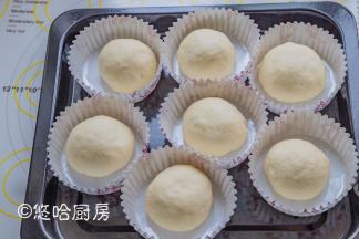 松弛后的面团再次滚圆，放入纸模中，没有纸模直接放烤盘上，烤盘上记得铺油布或油纸。室温下进行二次发酵。