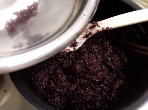 酒曲加入到凉白开里拌匀，再倒入放凉的糯米饭里打散拌匀