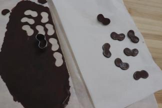 深咖啡色用同样的方法刻出小浣熊的眼睛，冰箱冷藏