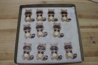 拼上小浣熊的尾巴