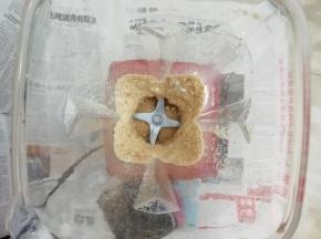 把花生米打到都碎了以后


