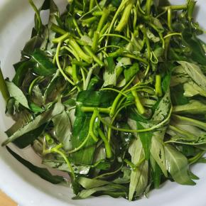 空心菜择段用盐水浸泡洗干净