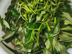 空心菜择段用盐水浸泡洗干净