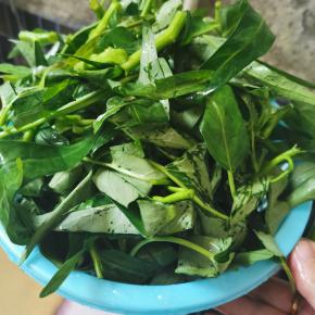 洗干净沥水备用