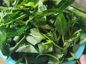 洗干净沥水备用